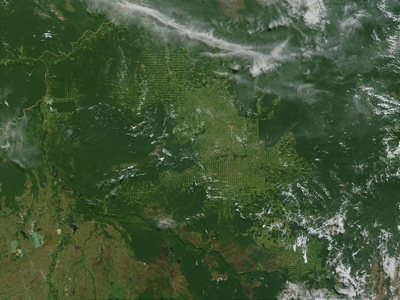 Deforestation in South America