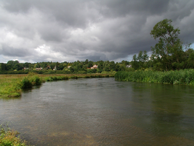 The River Avon at Ringwood
