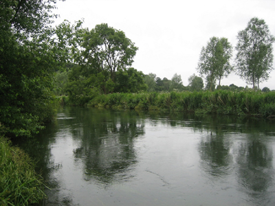 This is Home Now - Fordingbridge, Hampshire